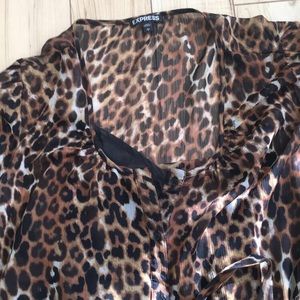Express button down dress